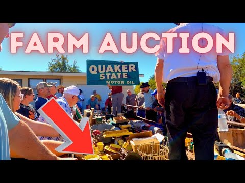 Amazing Old FARM AUCTION — Guess What I Bought!