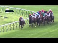 Qatar Prix de l Arc de Triomphe 2015