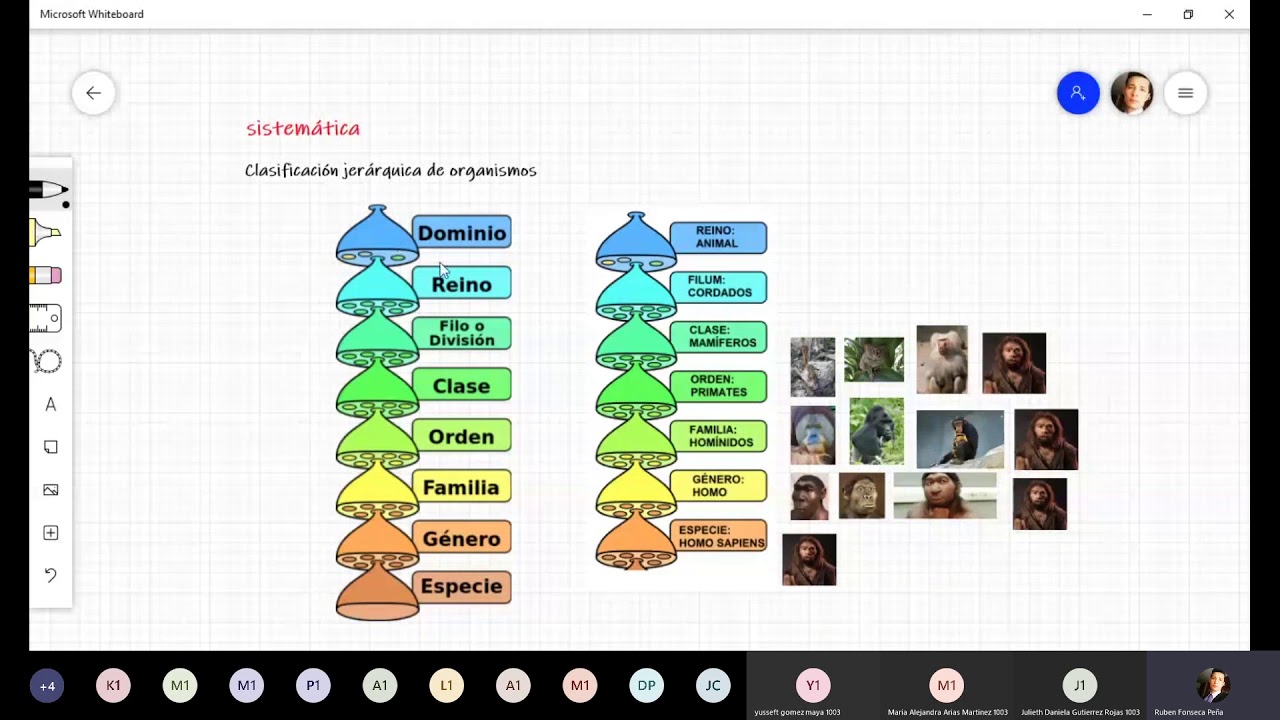 Sistemática Filogenética - YouTube