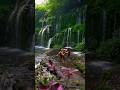 Chasing waterfalls in Bali