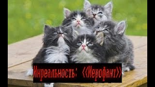 ИНРЕАЛЬНОСТЬ, но стрим НЕ 10 часов