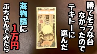 勝てそうな台なかったのでテキトーに選んだ海物語に一万円をぶち込んでみたら、、【PA大海物語4スペシャル Withアグネス・ラム】