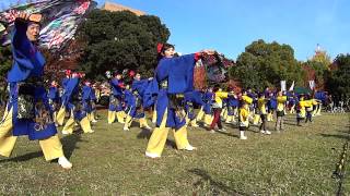 2013おどるんや秋祭り　紀州龍神