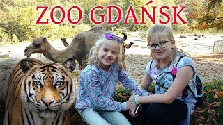 ♥♥♥ Olka i Anka odwiedzamy Super Zoo w Gdańsku 🐅 ♥♥♥ #ZOO #ANIMALS #WILDANIMALS