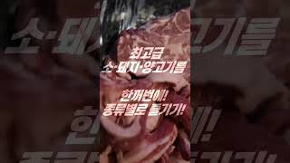 최고급 소·돼지·양고기 종류별 모둠 늑대한상 1kg 5만8천원 / 종로 광화문 유일 고기 맛집 / 초특가 숙성냉장육 가성비 고기구이 /냉삼보다 싸다 [늑대식당 종로점]