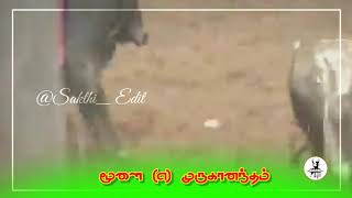 திருச்சி தலை சிறந்த மாடு புடி வீரர் மூளை(எ) முருகானந்தம்..