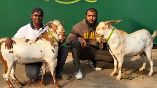 Satisfied Palai Customers of Quality Goat Farm Uttan