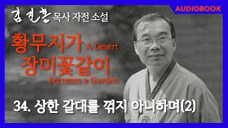 [오디오북] 『황무지가 장미꽃같이』 34장. 상한 갈대를 꺾지 아니하며(2)