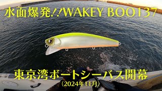 【釣り】WAKEY BOOで水面炸裂！秋の東京湾シーバスゲーム開幕！【ビックベイト】