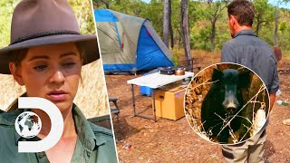 Jacqui & Andrew FURIOUS After Their Camp Is Destroyed By Feral Pig! | Aussie Gold Hunters