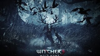 Friends with benefit - AvgSolo Plays The Witcher 3: Wild Hunt (PS4 gameplay) - Part 14