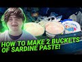 How To Make 2 Buckets of Sardine Paste!