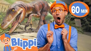 Learning Dinosaurs Wtih Blippi At The Children's Science Museum! | Educational Videos for Kids