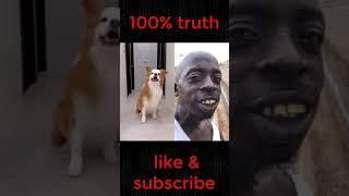 funny video about dog likes live #shortsfeed #funnyvideos  #trynottolaugh #pro_boxtv #FunnyMoment