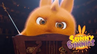 Sunny Bunnies - PLAY A CONCERT | Videos For Kids | Funny Videos For Kids