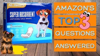 Best Dog Diapers | All-Absorb Dog Wraps | Top 3 Questions Answered