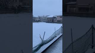 2024年2月5日東京大雪！！！！！