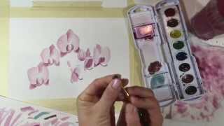 How to draw and paint Watercolor Orchids