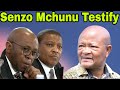 Senzo Mchunu testifies at Madlanga Commission Inquiry