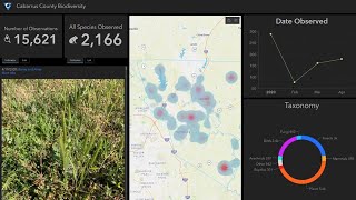 Alignment of GIS to your Business: What it Is, Why It's Important & How To Do It
