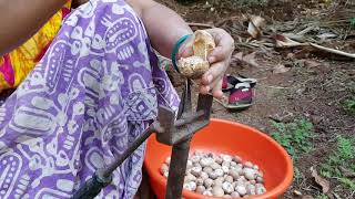 सुपारी सोलणी यंत्र / How to make Arecanut machine / farming