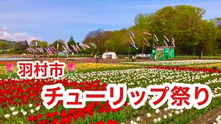 2022/4/19 羽村市 🌷チューリップ祭り🌷 チューリップ畑 根がらみ前水田 〒205-0016 東京都羽村市羽加美4-26-25 ロックタクシー ロッククラブ