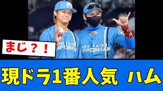 【やはり】現役ドラフト1番人気、日ハムであることが判明！！！【プロ野球反応集】【2chスレ】【5chスレ】