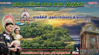 🔴live| மாதத்தின் முதல் செவ்வாய் திருப்பலி  | புனித கார்மேல் மலை மாதா திருத்தலம்