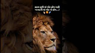 👆🦁🪽કદાચ મૂળી માં ખોટ હોય બાકી ખાનદાની માં ખોટ નો હોય👆🦁🪽