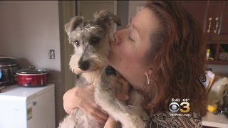 3 On Your Side: Pet Adoption Matching Websites And Apps