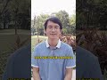 如何赚钱？youtube赚钱的真相：不要只盯着播放量和广告费 揭秘创作者多元化收入策略 原来95%的人都忽略了这些赚钱机会 从导购到会员，从知识付费到品牌合作的变现指南 内容创作