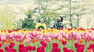 BBBBBBB - Wild Flowers【Official Music Video】Dir. JACKSON kaki