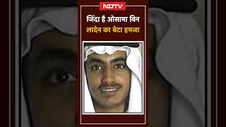 Osama Bin Laden के बेटे Hamza Bin Laden के जिंदा होने की खबर, Afganistan में संभाल रहा अलकायदा