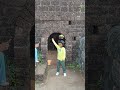 7 year old proudly chants shivaji maharaj ki jai at the iconic sindhudurg fort