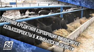 Аграрная кредитная корпорация финансирует сельхозпроекты в Жамбылской области