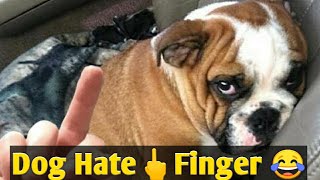 Dogs Hate Middle Finger 😂 | Dog react to Middle Finger🐕| Funny Dog Video