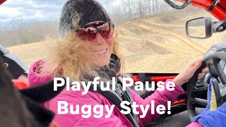 Stressed? - Play Hard!