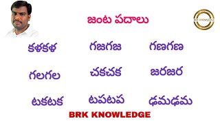 జంటపదాలు | నాలుగు అక్షరాల జంటపదాలు | BRK నాలెడ్జ్