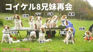 コイケル8兄妹再会