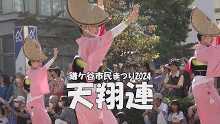 阿波踊り「天翔連」Awa Odori  - 流し踊り - 第50回記念鎌ヶ谷市民まつり（2024.10.12）