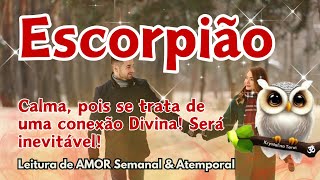 ♏ ESCORPIÃO 💘  CALMA, POIS SE TRATA DE UMA CONEXÃO DIVINA! SERÁ INEVITÁVEL!