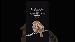 રવીવાર ની રજા .motivational quotes #shorts #shortvideo #youtubeshorts #suvichar