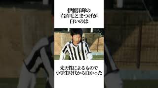 【伊藤洋輝】に関する雑学#shorts #伊藤洋輝 #雑学 #サッカー #日本代表