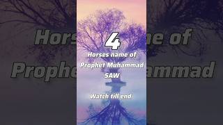 4 Horses name of Prophet Muhammad SAW || The Side of QURAN #islamic_video #islamicinspiration