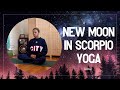 New Moon in Scorpio Yoga | 25 Minutes