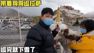 小夫妻自驾西藏，带着狗狗逛拉萨，吃美食看布达拉宫逛完就下雪了【旅途十万里】