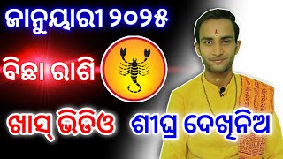 Bichha rashi january 2025 rashifala | ବିଛା ରାଶି ଜାନୁୟାରୀ ୨୦୨୫ | bichha rashi monthly | rashifal