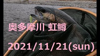 奥多摩川 虹鱒〖ルアー〗　2021/11/21(sun)