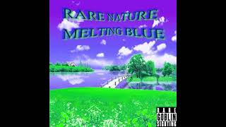 RARE NATURE - MELTING BLUE (FULL ALBUM)