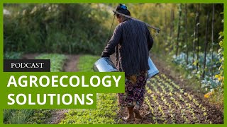Vandana Shiva on the agroecology solution for climate change, the biodiversity crisis, and hunger